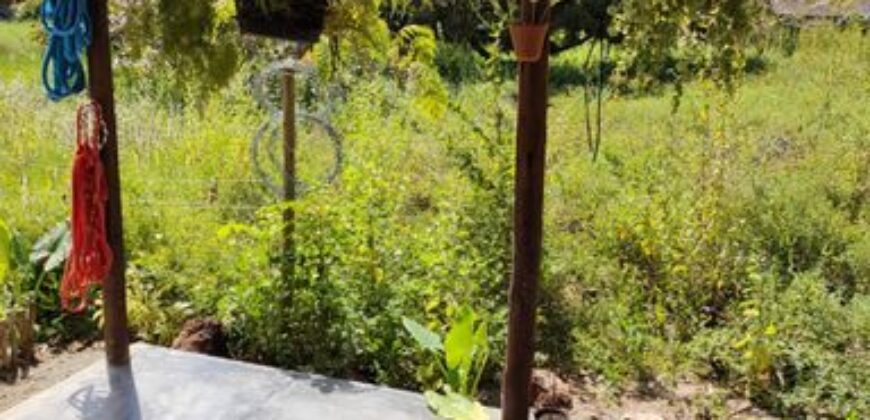 Newly Built Beach House in Campinho – 100m from the Sea with Boat Mooring